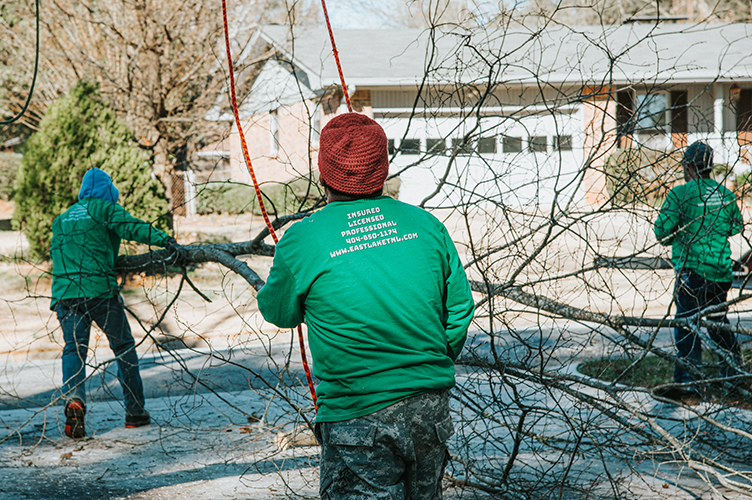 24/7 Emergency Tree Services