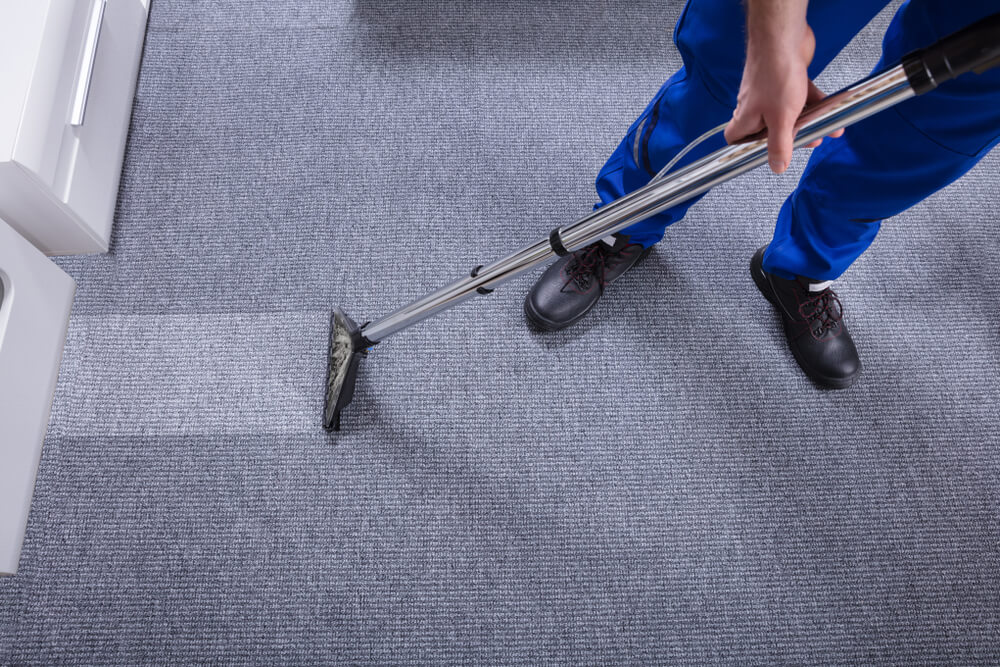 in house cleaning staff cleaning carpets in the office