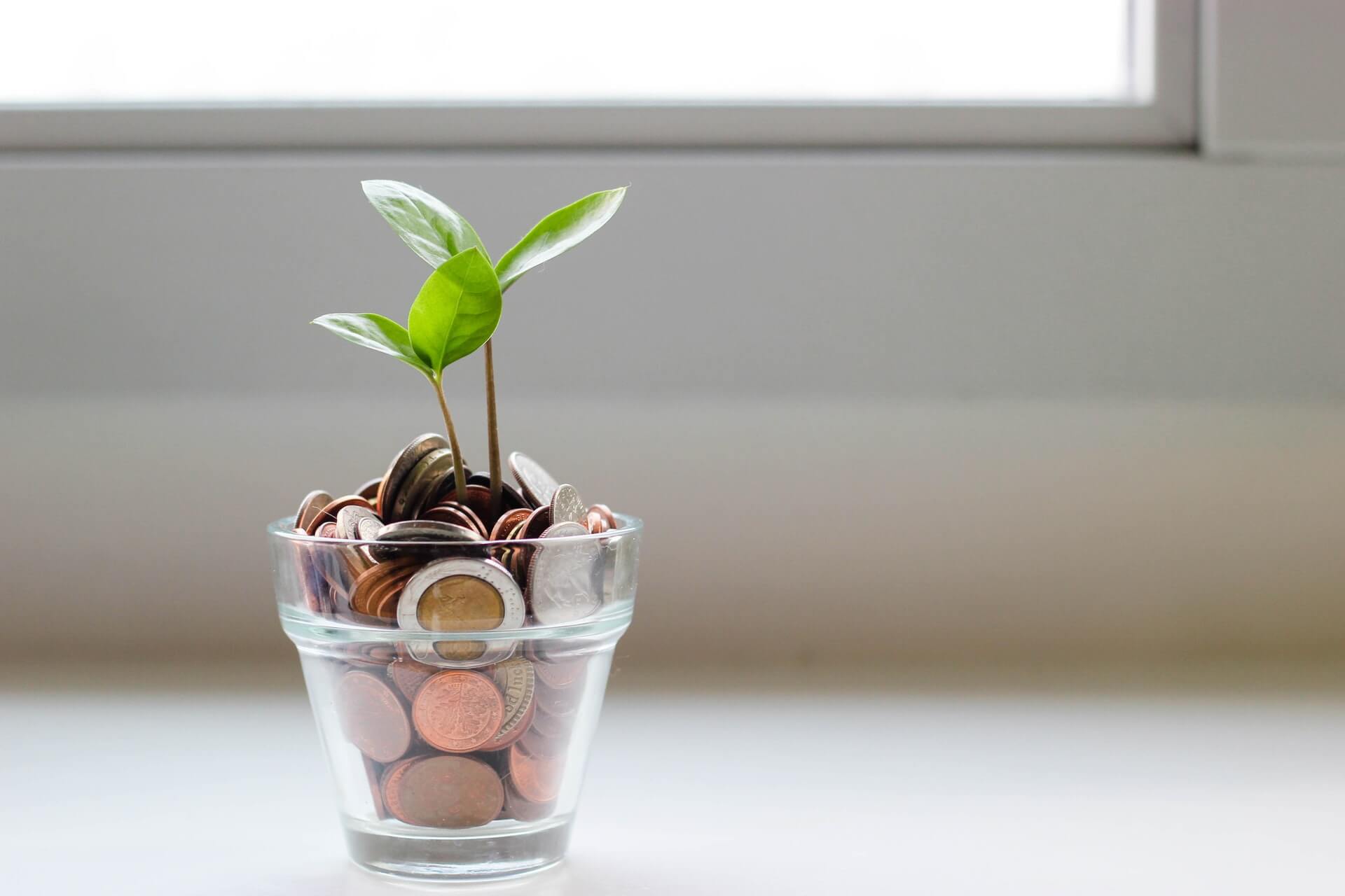 a glass full of money to invest and a tree growing out of it