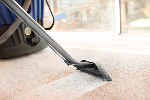 a beautiful clean carpet