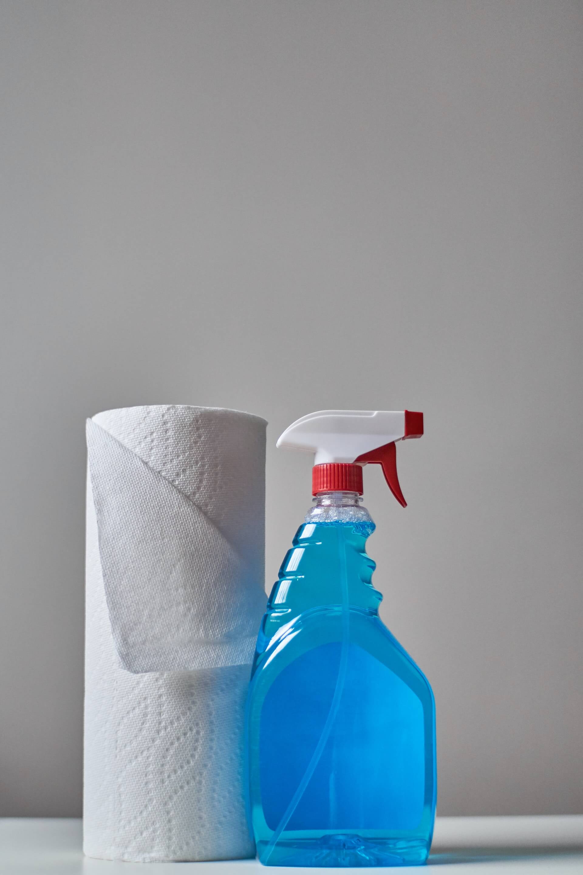 paper towel and washing mixture in a spray bottle to dab stained carpet