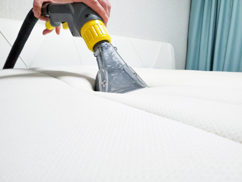 Cleaning company professionally cleaning the mattress