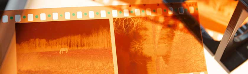 Prints From Color Negatives Spartan Photo Center