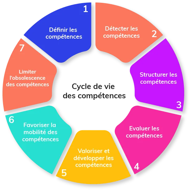 Le Cycle de vie des compétences