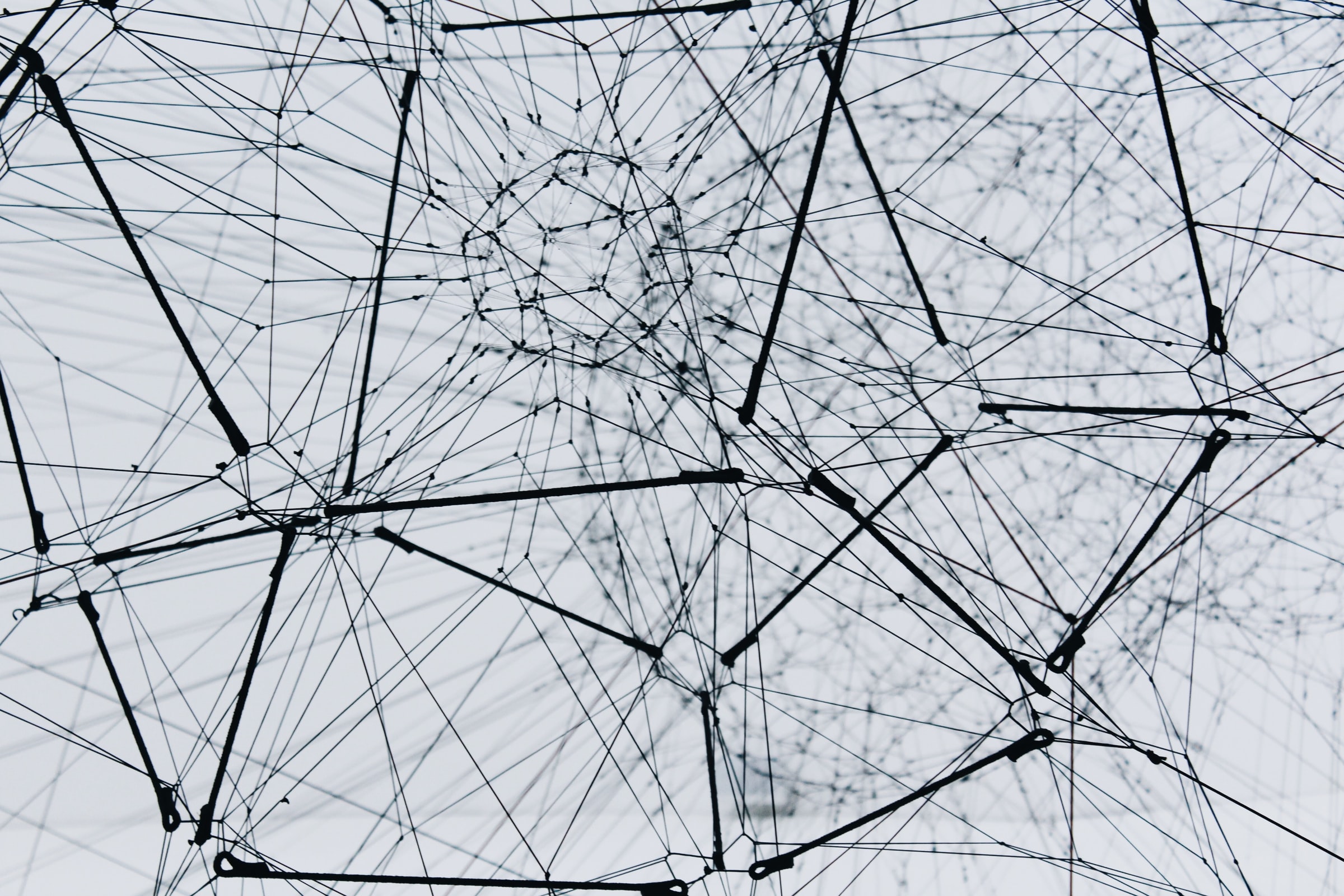 How to choose the best survey provider for accurate data