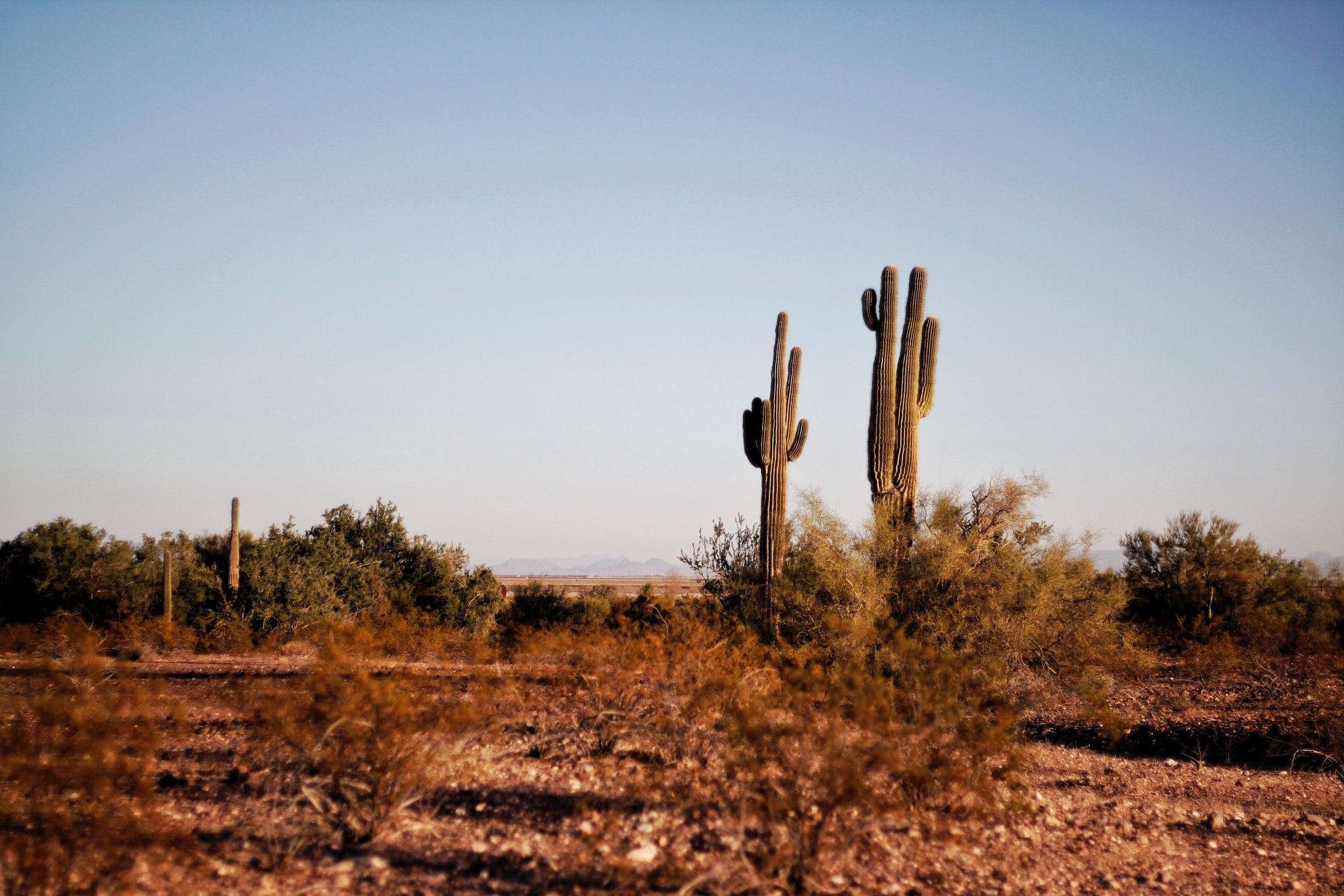 Different ways to conduct Texas B2B market research