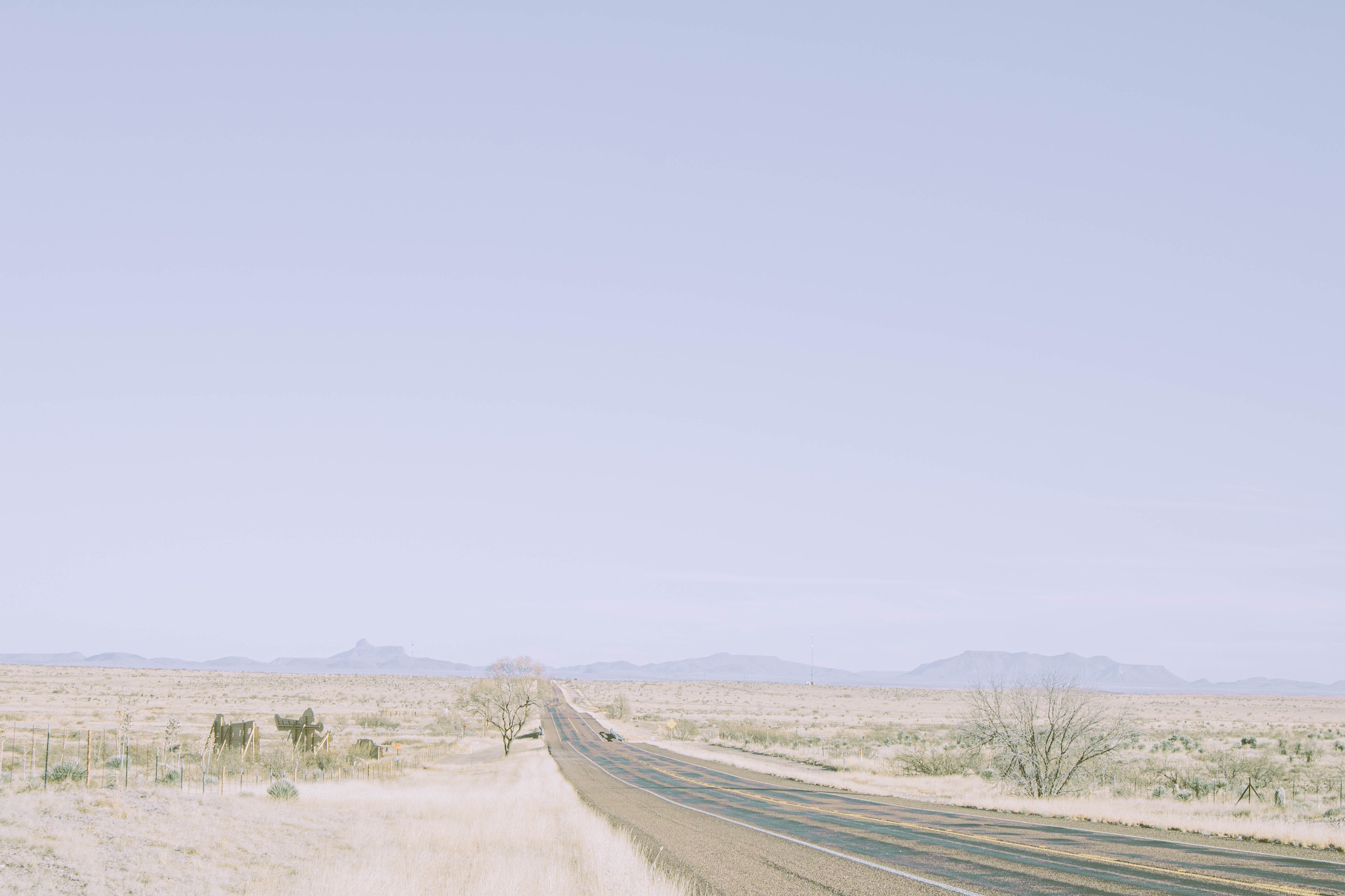 How to choose a Texas B2B survey provider for your business