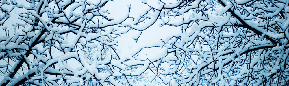 Snow Weather Trigger