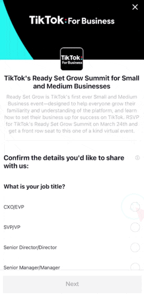 TikTok Lead Generation Ad Formats