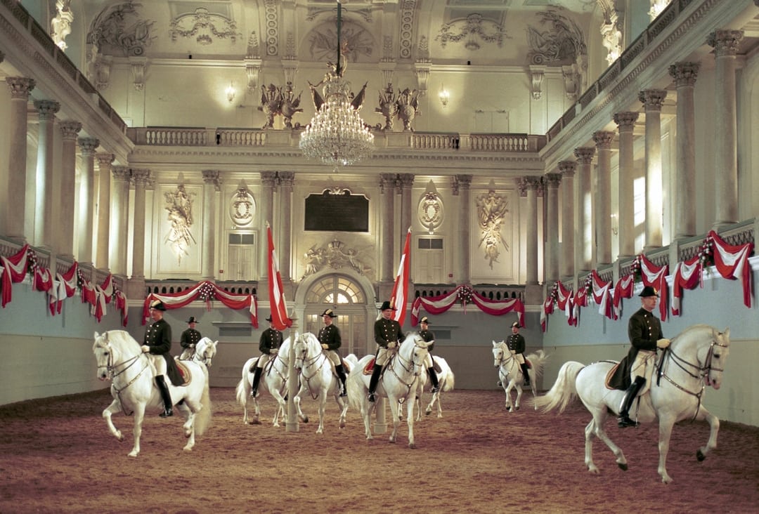 MR FILM Majestic White Horses