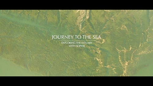 Episode 3: Exploring the estuary with Sophie