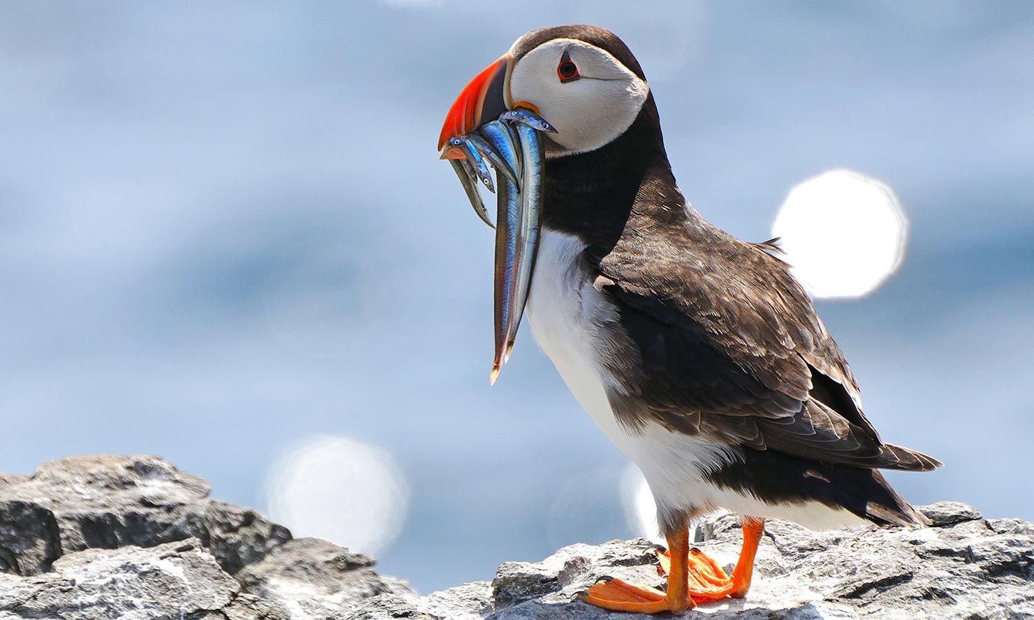 Discover nature on your doorstep