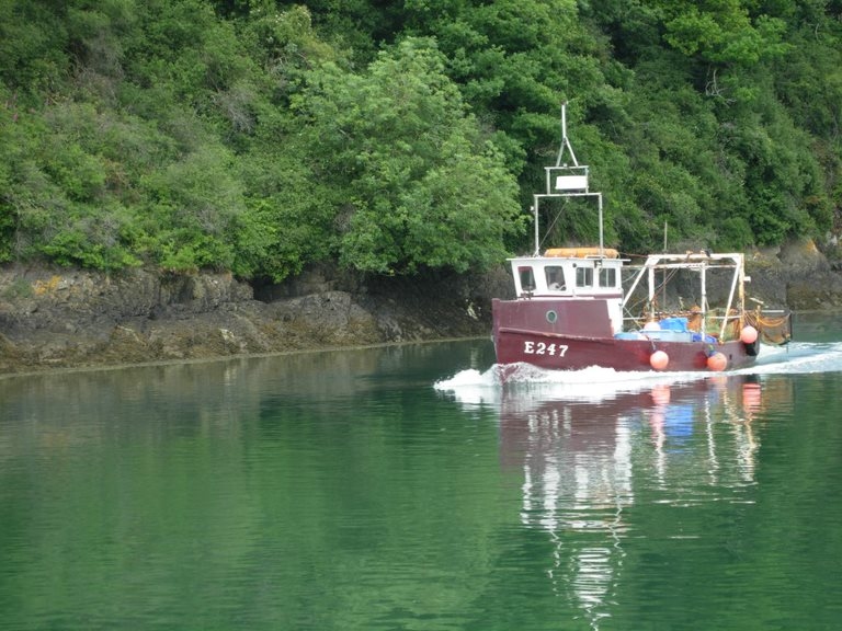 Seeking local fishing knowledge