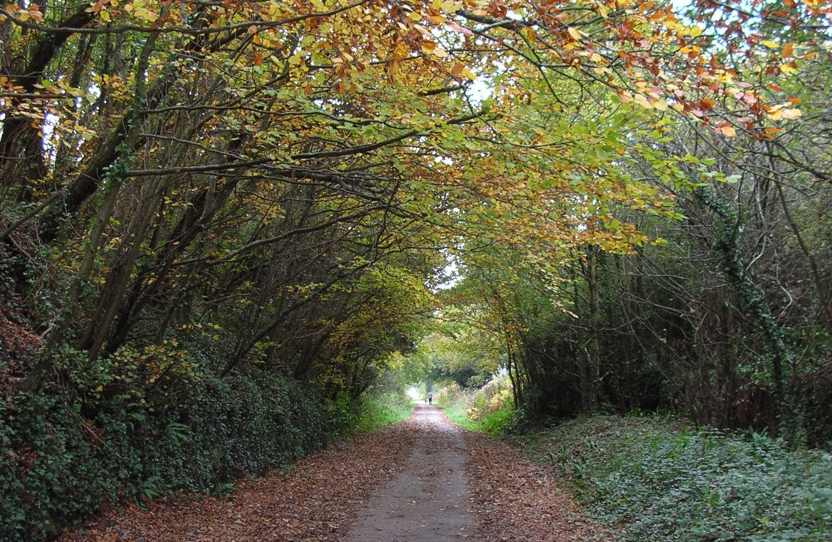 October half term 2020