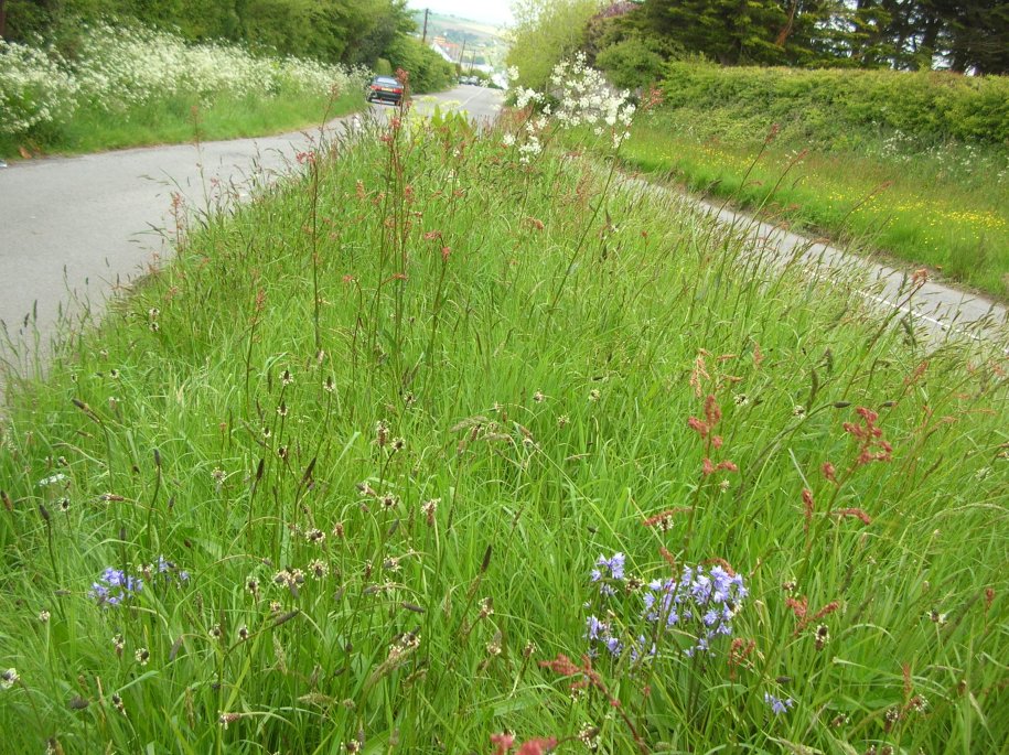 Make a Nature Plan