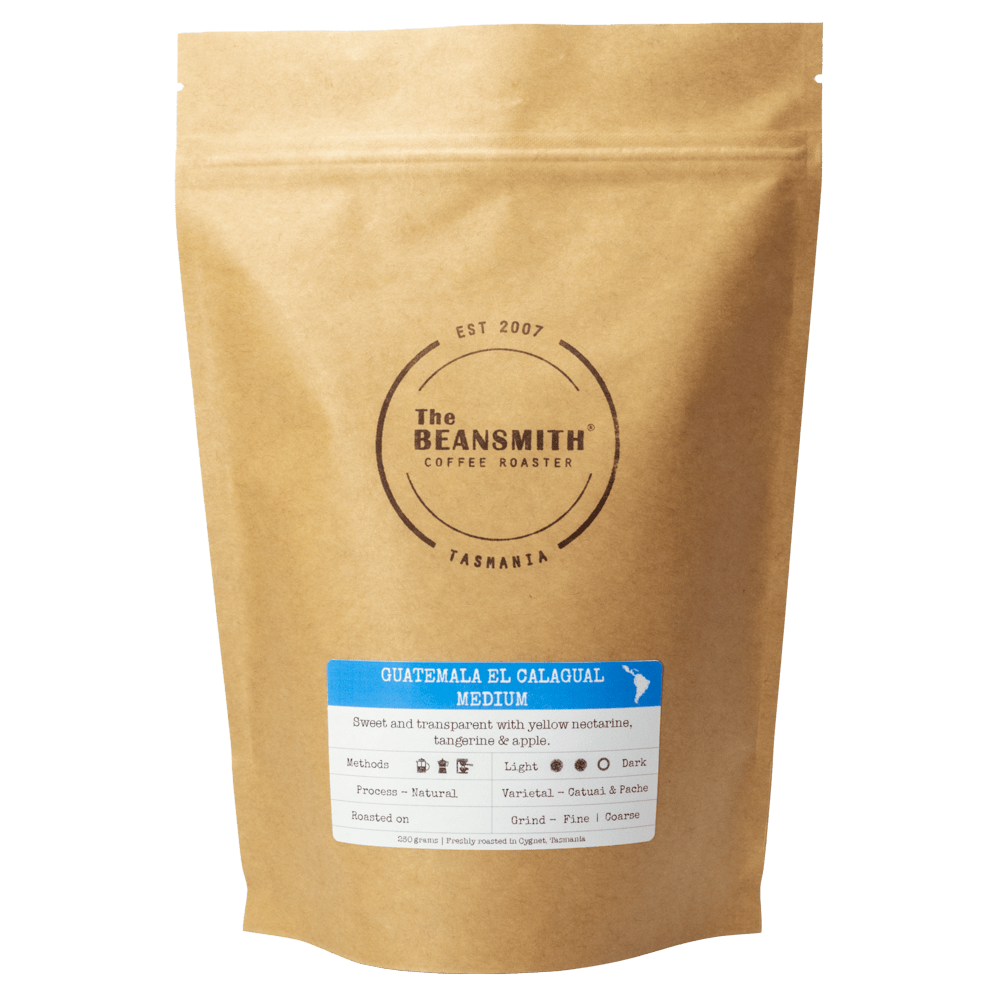 Guatemala El Calagual Medium