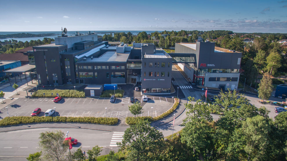 UiA Grimstad, MIL