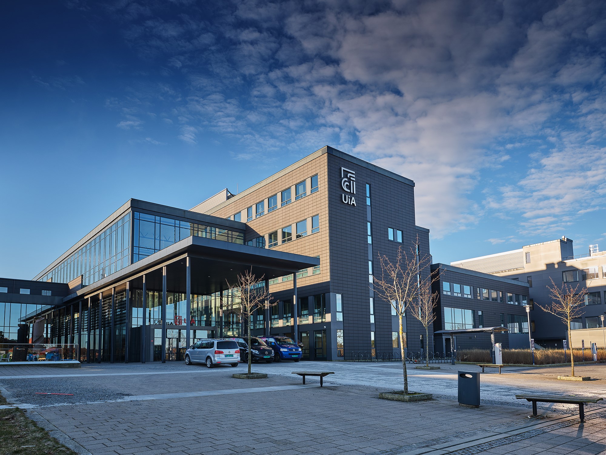 UiA Grimstad