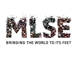 MLSE Logo