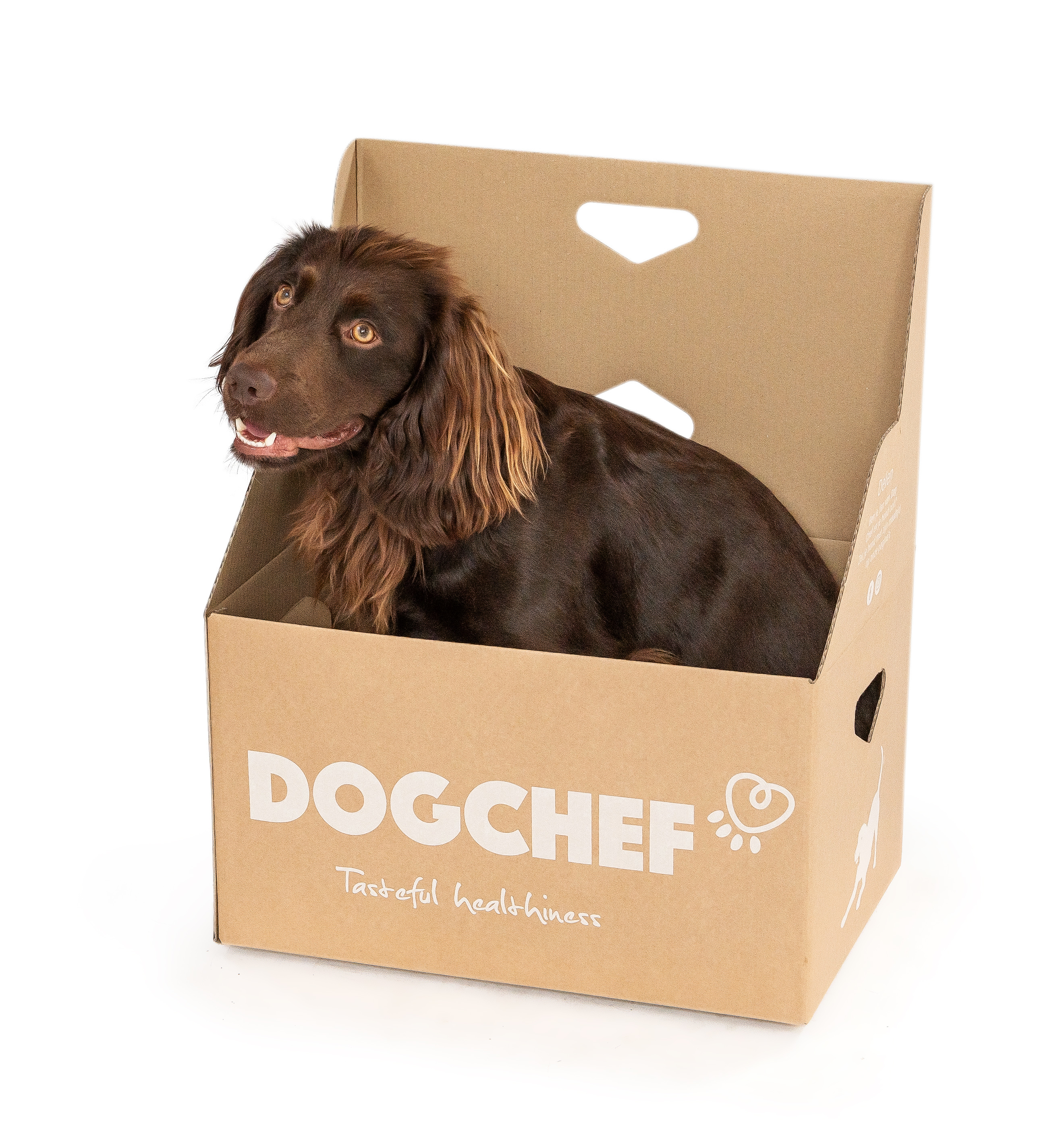 Hoe te bestellen bij Dog Chef? Gepersonaliseerde hondenmenu's