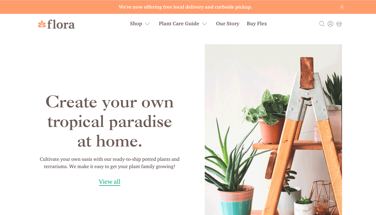 flex shopify theme