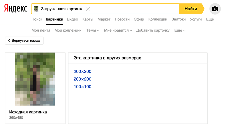 5 способов узнать о вас абсолютно все по номеру телефона за полчаса