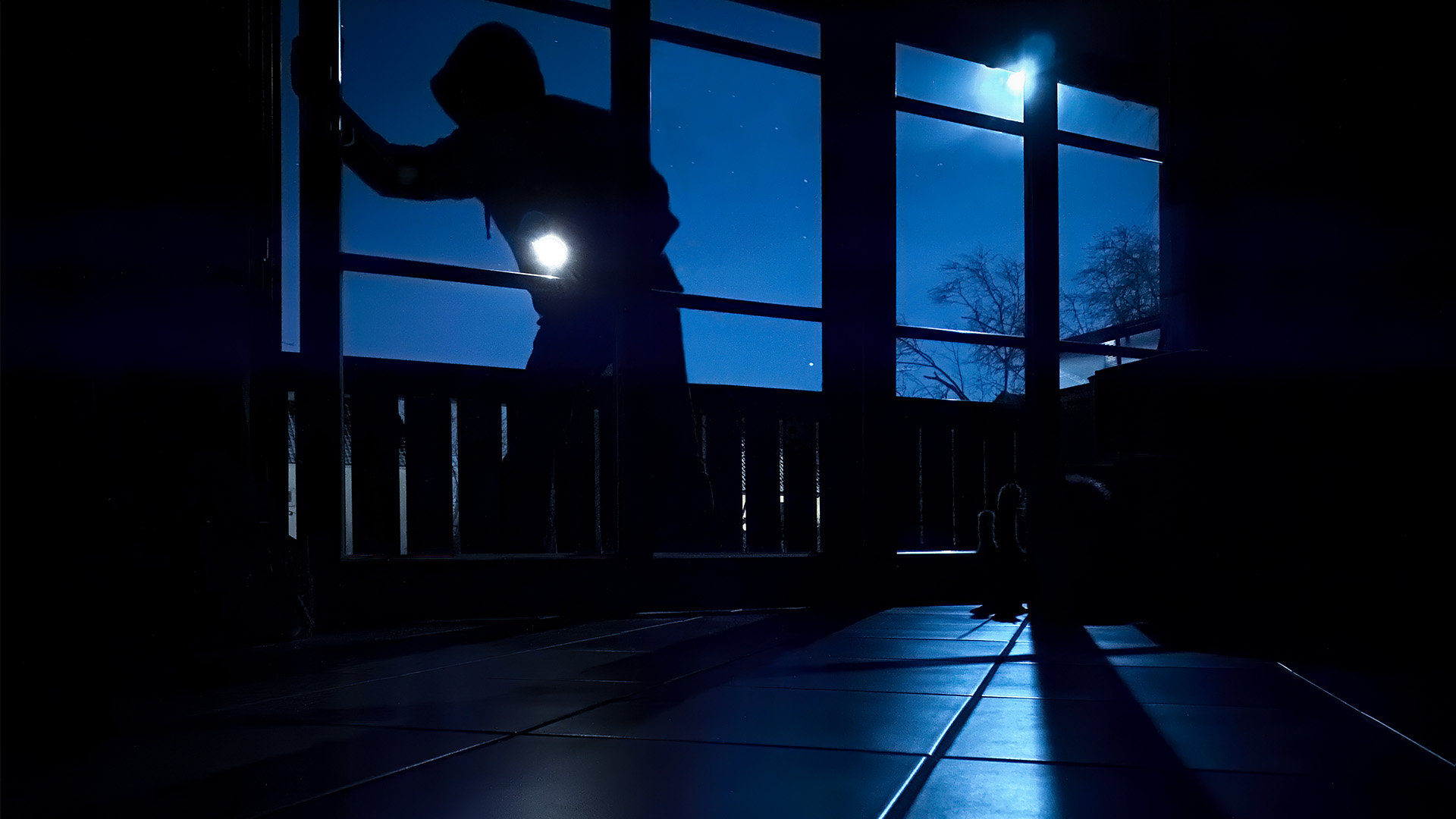 silhouette of a burglar shinning a flashlight into a dark room