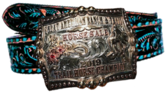 Great American Ranch and Trail Horse Sale