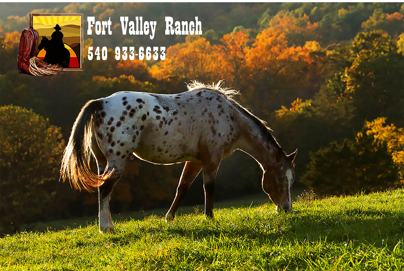Fall Mountain Trail Ride