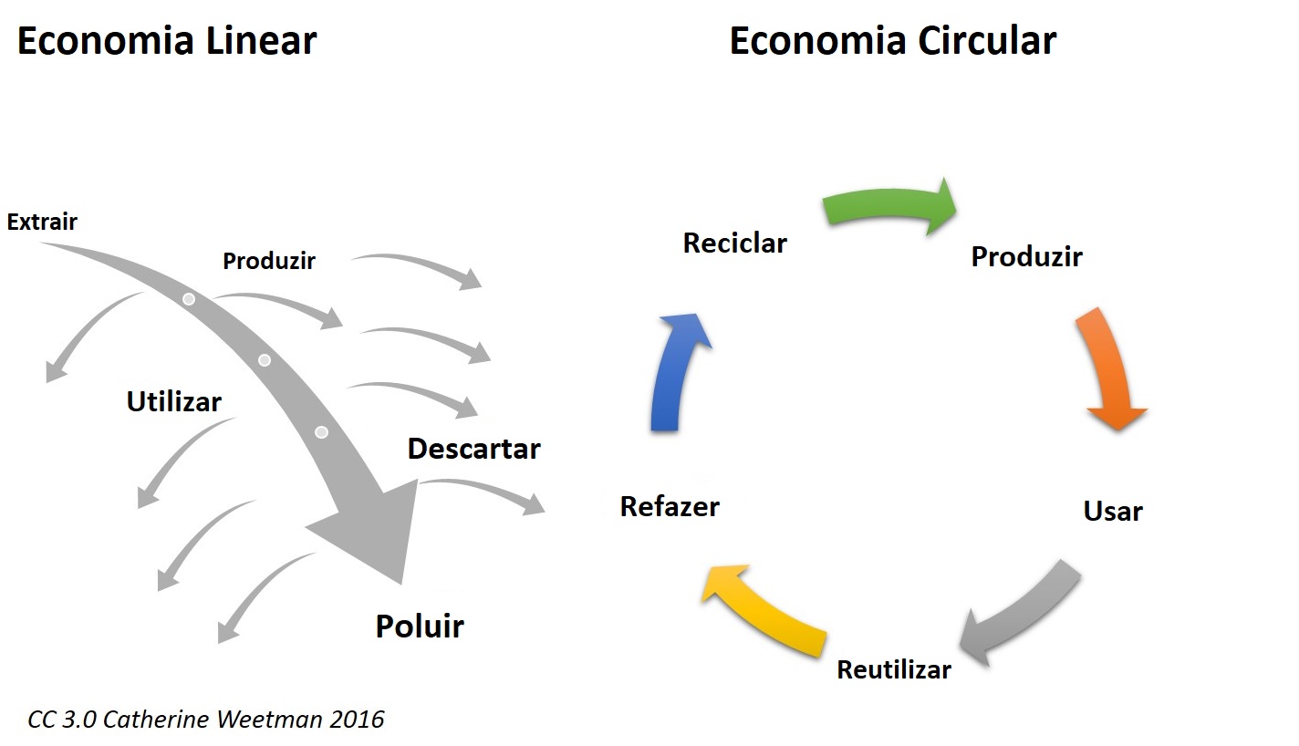 Economia Circular: o que é e quais seus benefícios?