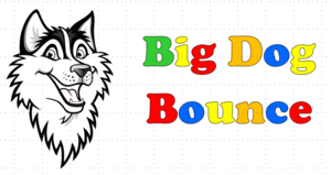 Big Dog Bounce