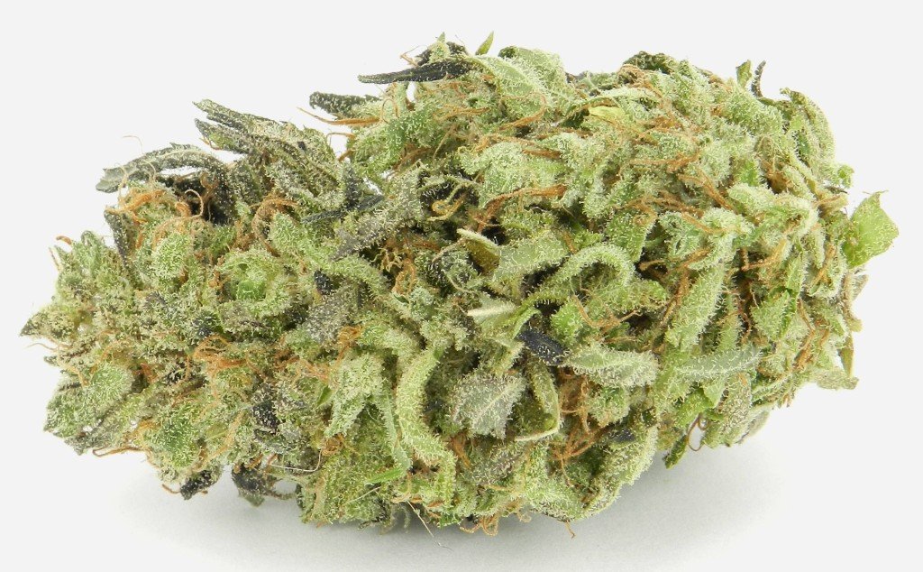 creative strains