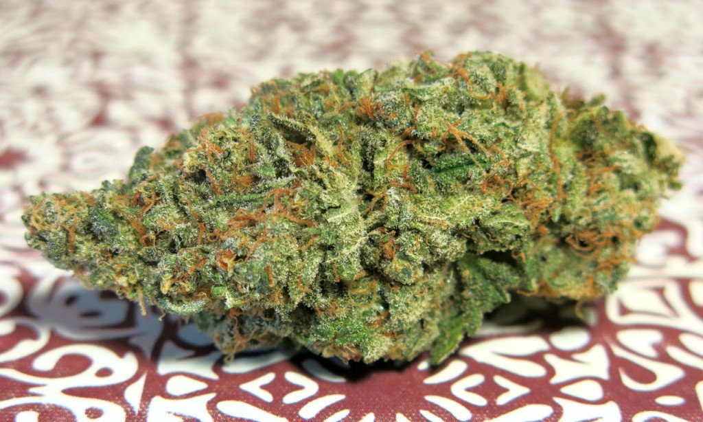 creative strains