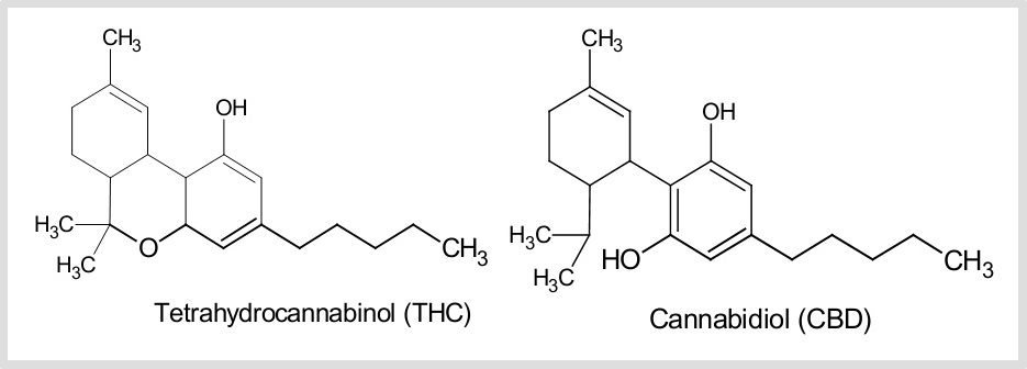 CBD Candy