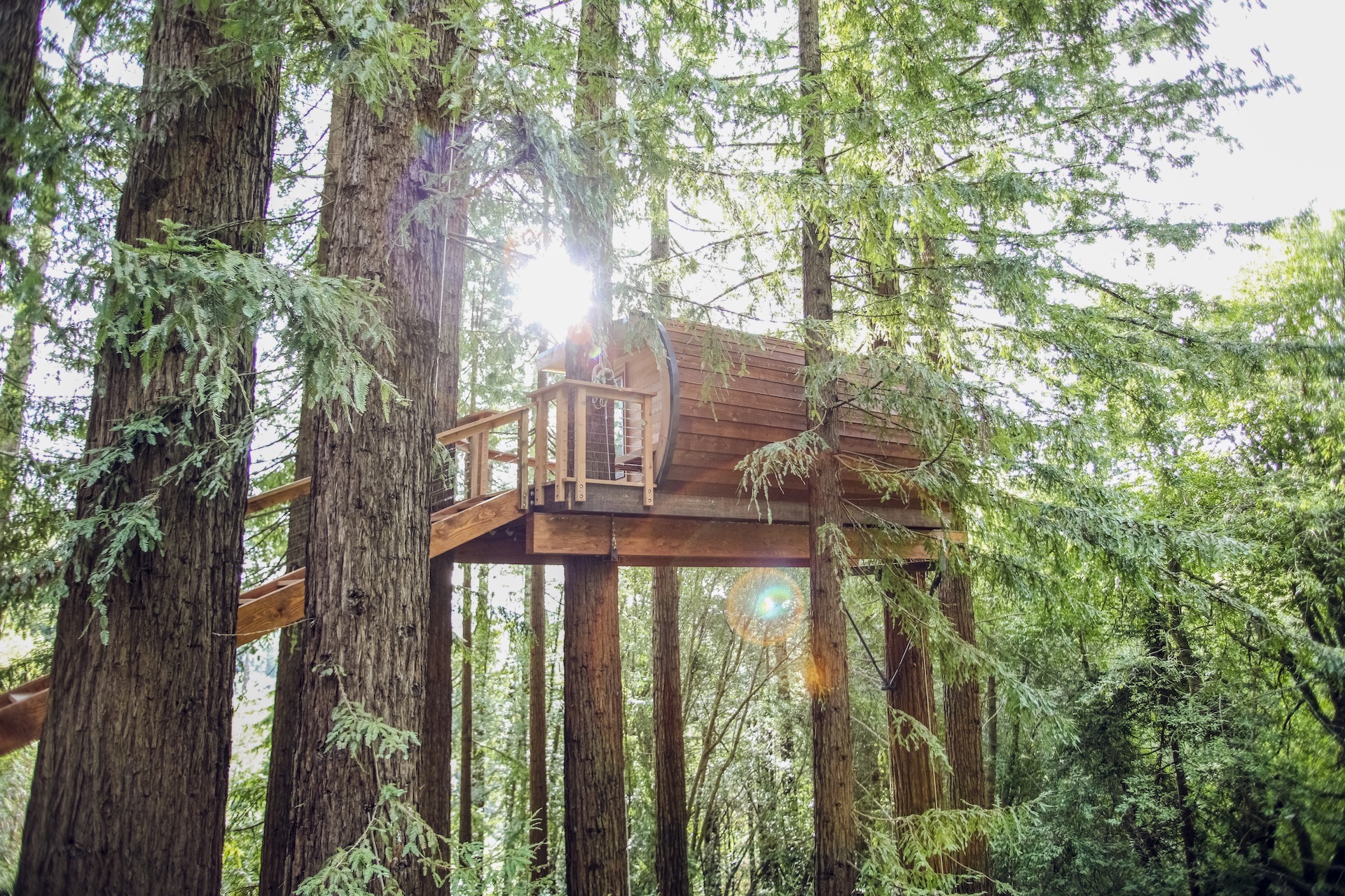 Kodama House | Our Treehouse Projects | Artistree Home