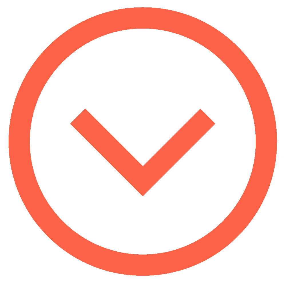 Icon cercle et triangle vers le bas rouge