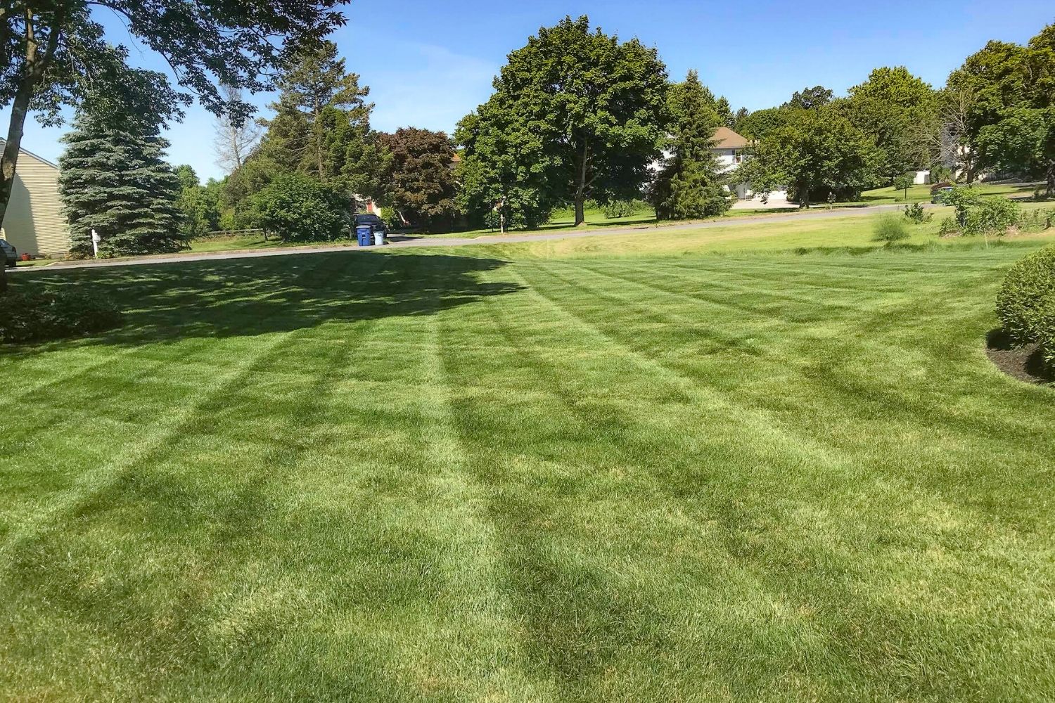 Lawn Mowing