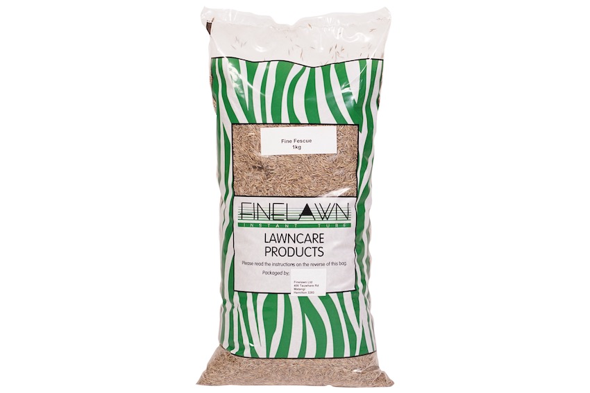 Fine Fescue Seed