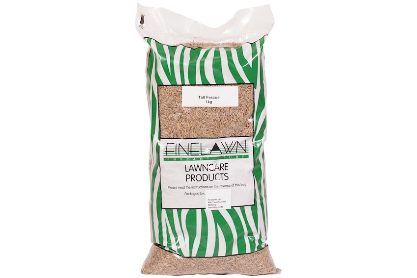 Tall Fescue Seed
