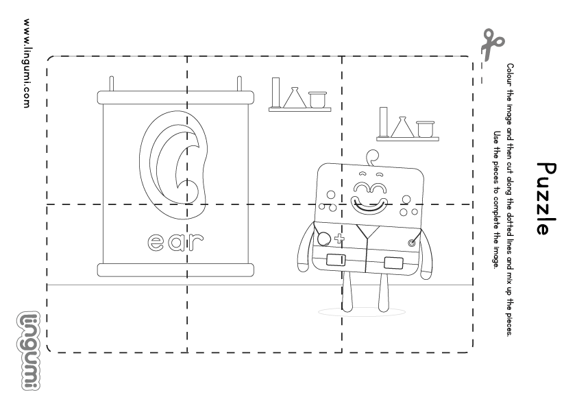 拼圖學英文 動物 身體部位