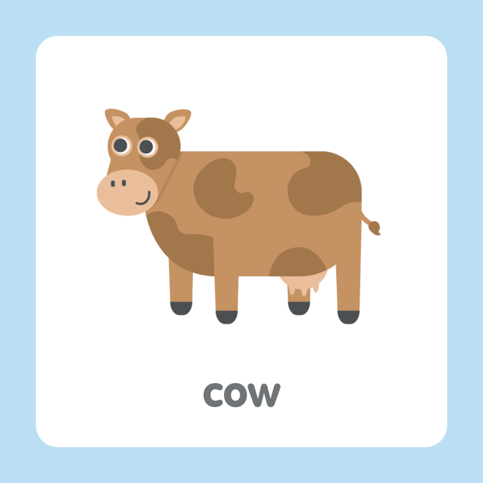 牛英文 cow