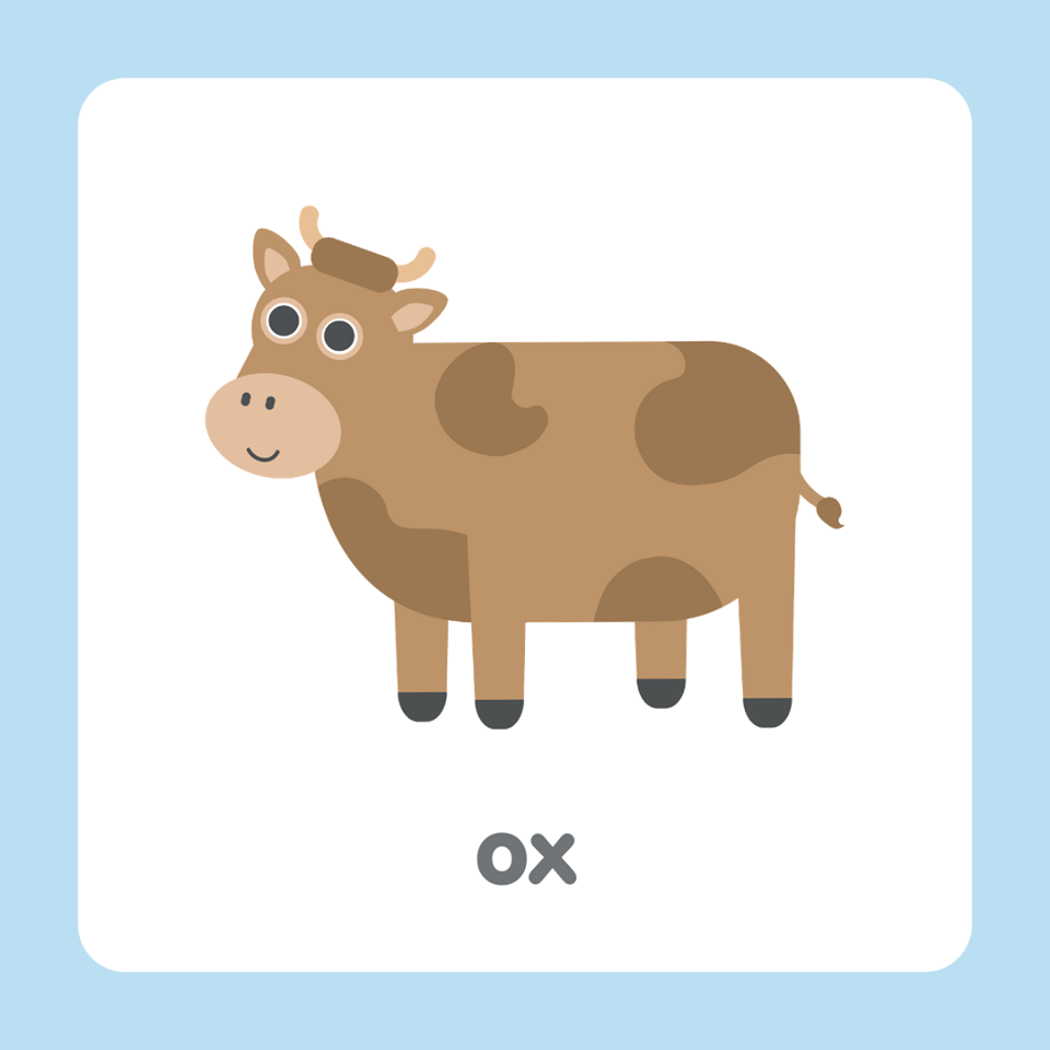牛英文 ox