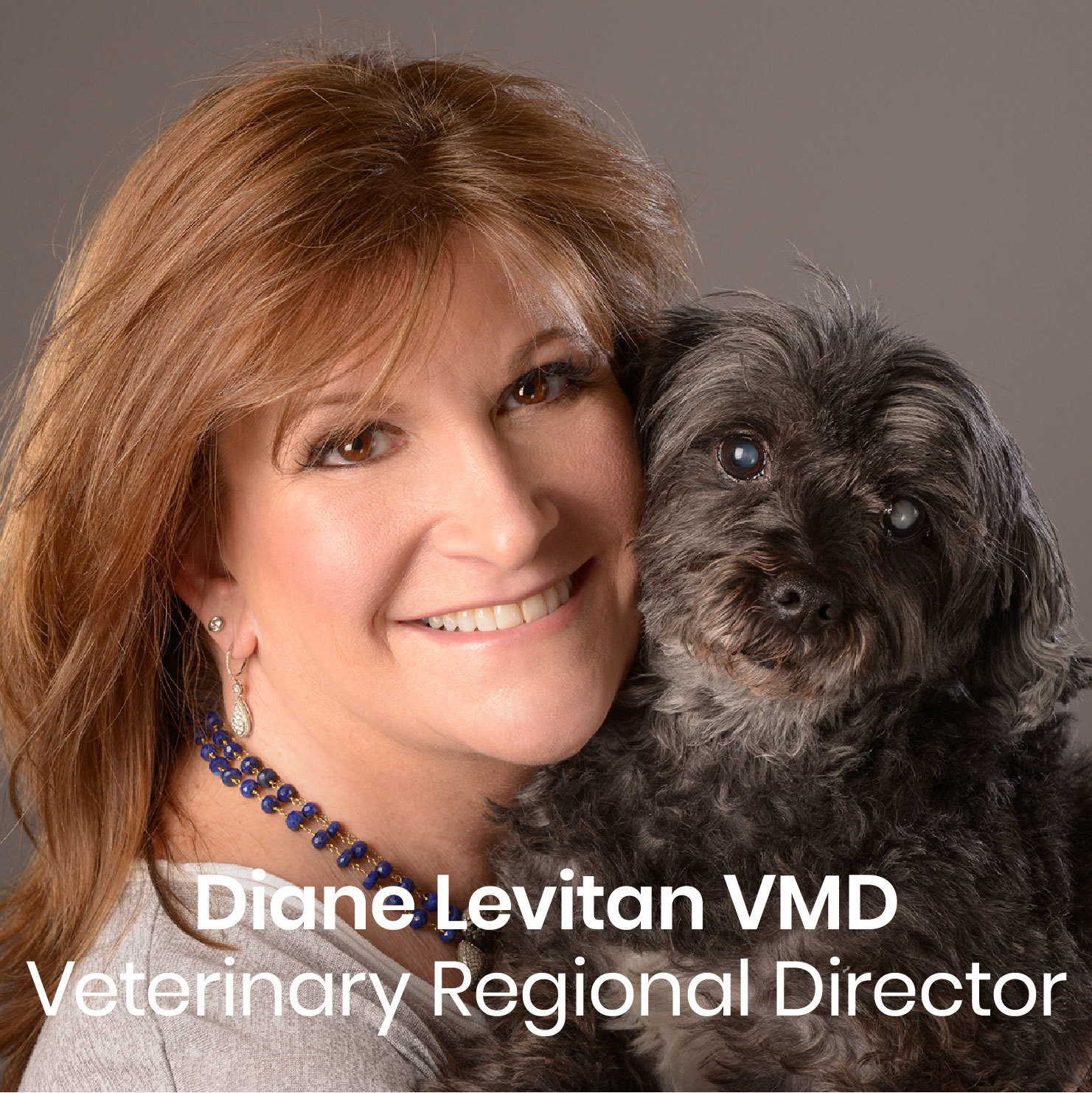 Diane Levitan, President at IES Languages