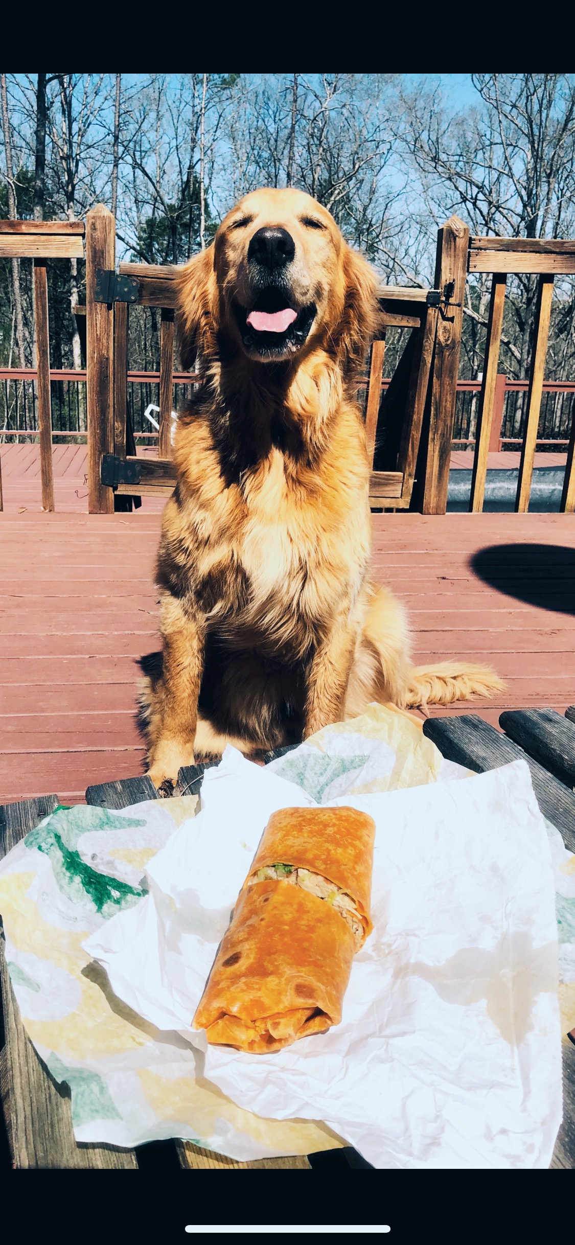 Subway Drove Nearly 6M Impressions for a Product Launch in 4 Weeks by ...