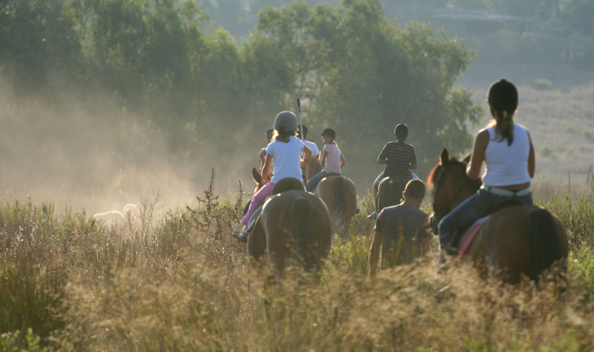 Group of riders and horses on path in field