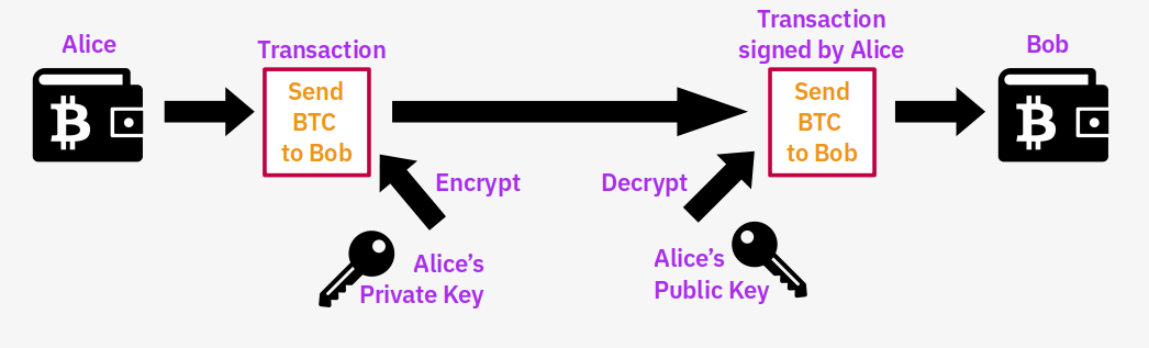 Can Quantum Computers Attack Bitcoin Braiins Can Quantum Computers Attack Bitcoin Braiins