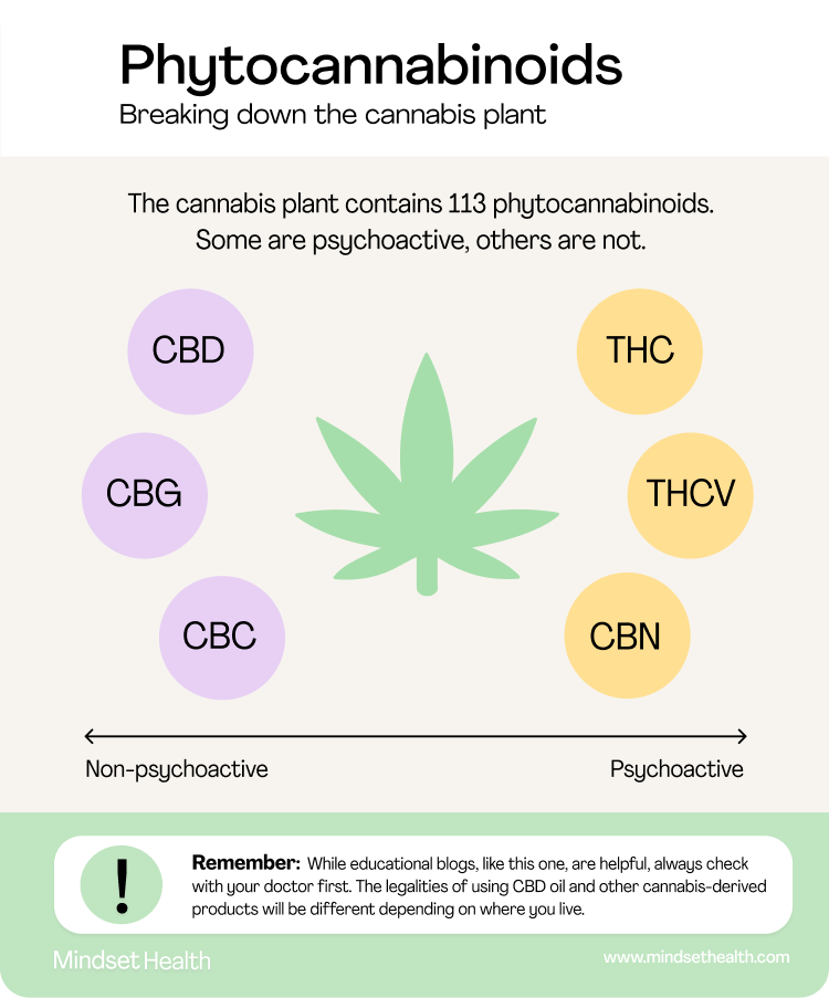 A diagram showing which compounds of cannabis are psychoactive, and which are not.