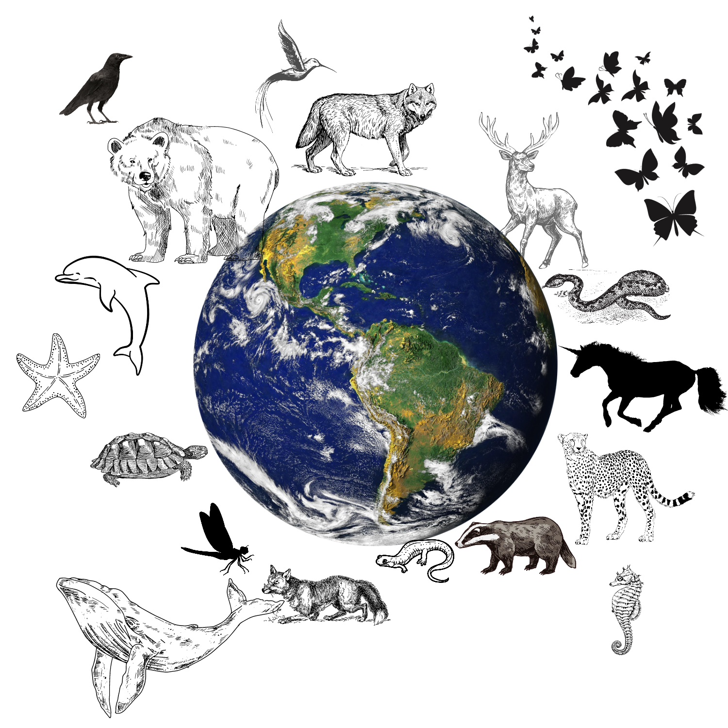 TierJahresKreis - Wissen RUND um die Tiere- Göttinnen, Runen, Zeichen und Botschaften