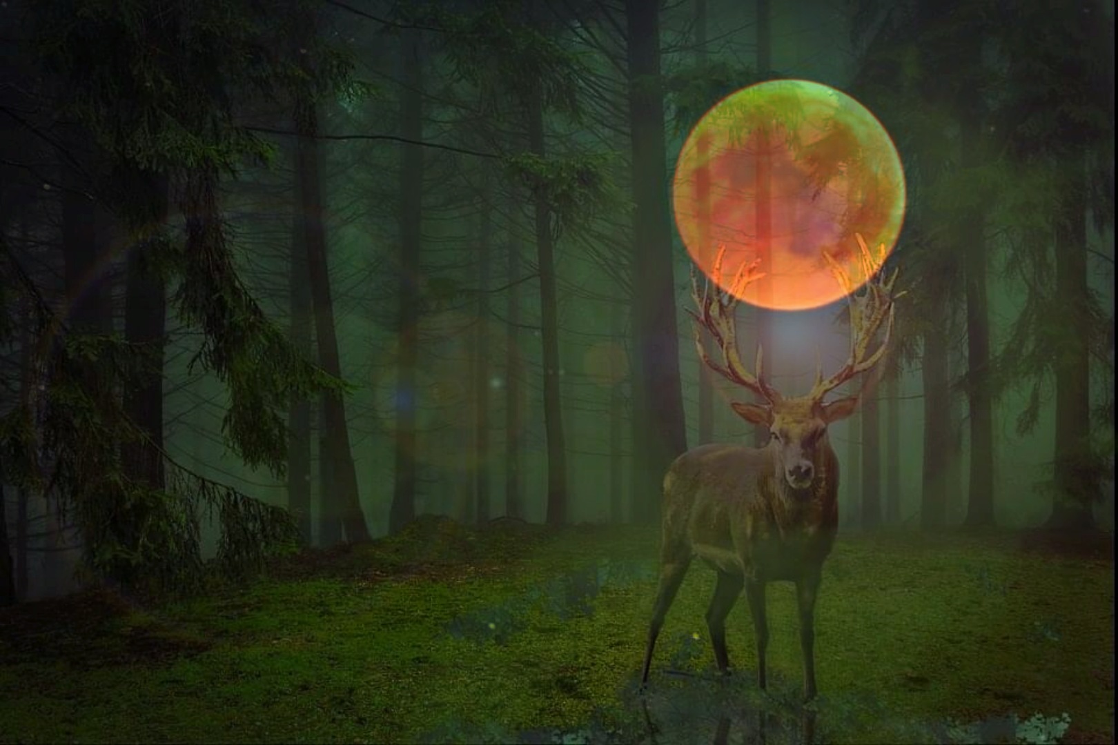 HeilWorte zur Mondfinsternis