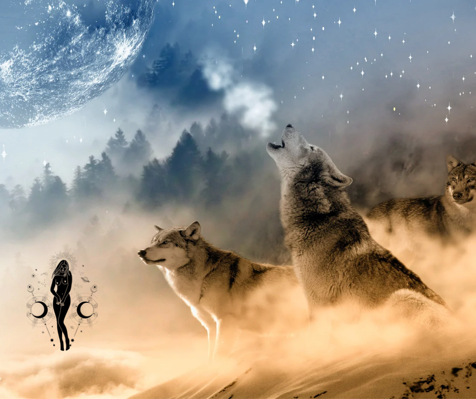 Visionsreise "Aufbrechen/ Aufbruch" mit dem Tiergeist Wolf
